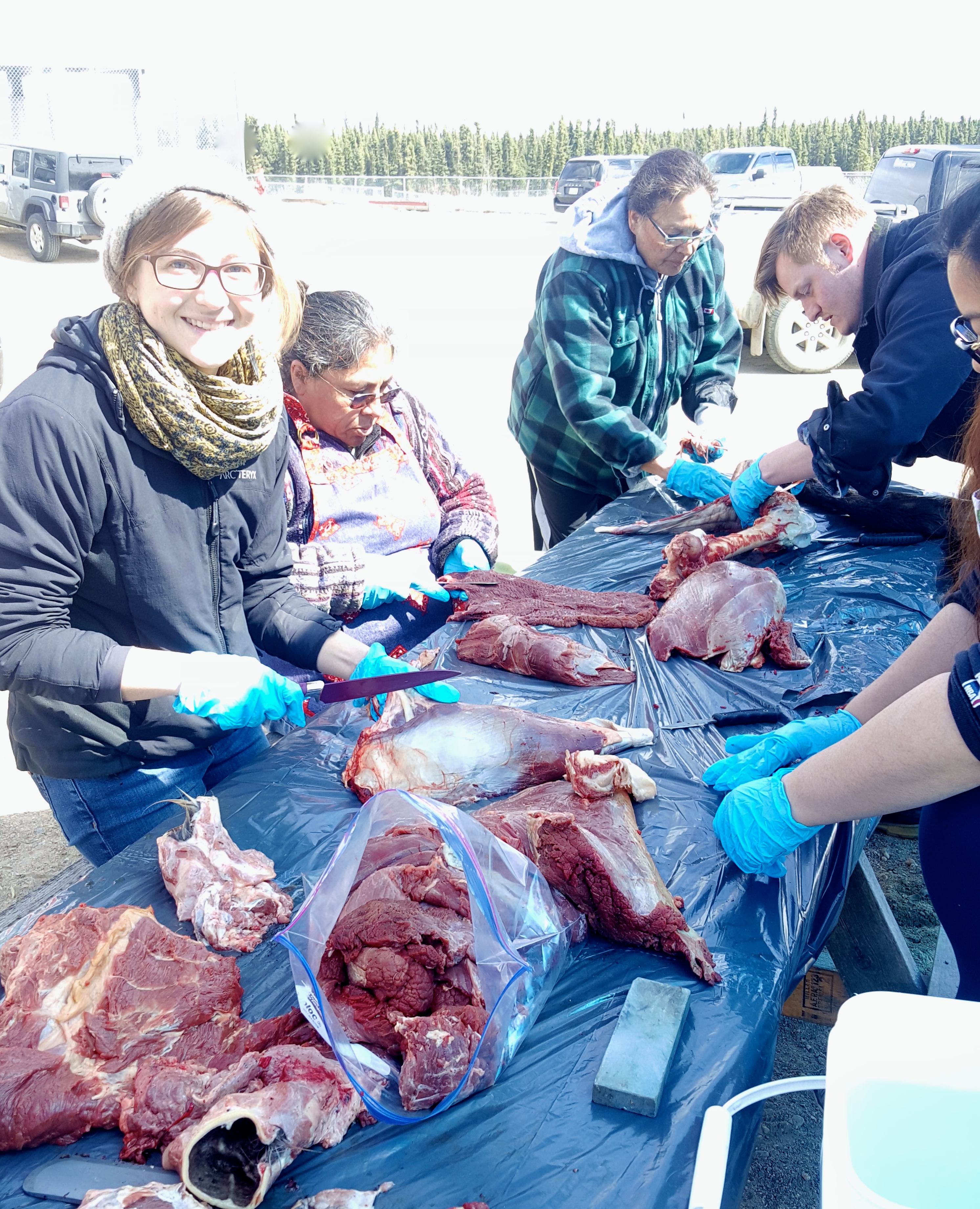 Cutting moose meet at La Ronge Treaty Day